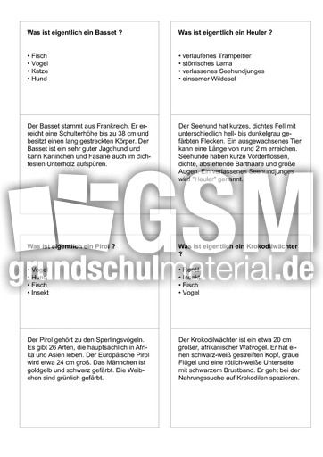 Tiernamen 77.pdf
